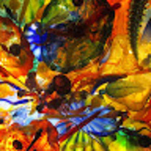 Meet your Posher, Candice